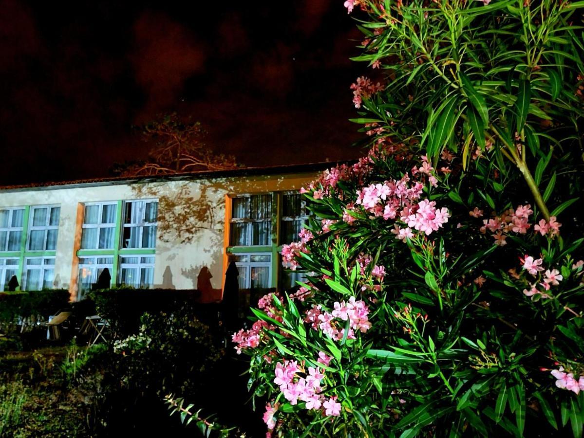 Appartement 91 Palais Des Gouverneurs Saint-Martin-de-Re ภายนอก รูปภาพ