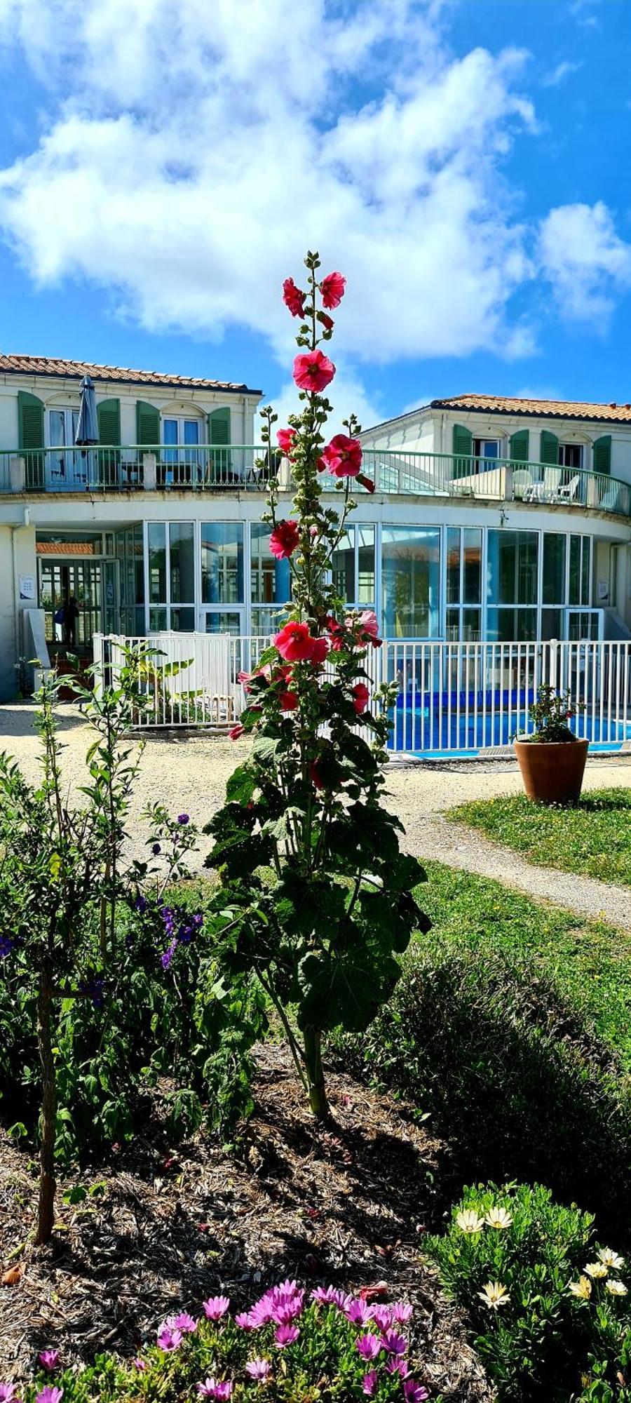 Appartement 91 Palais Des Gouverneurs Saint-Martin-de-Re ภายนอก รูปภาพ