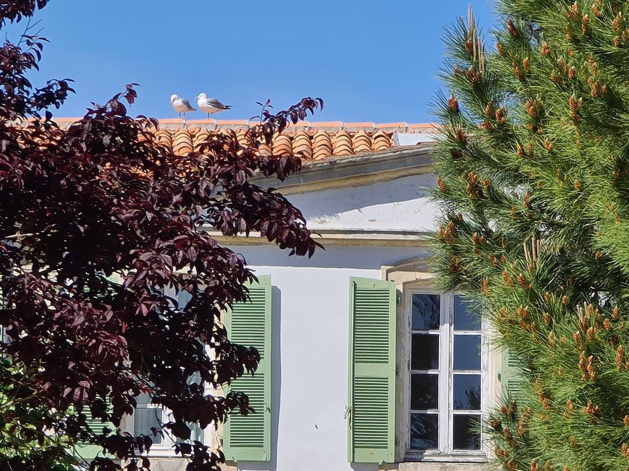 Appartement 91 Palais Des Gouverneurs Saint-Martin-de-Re ภายนอก รูปภาพ